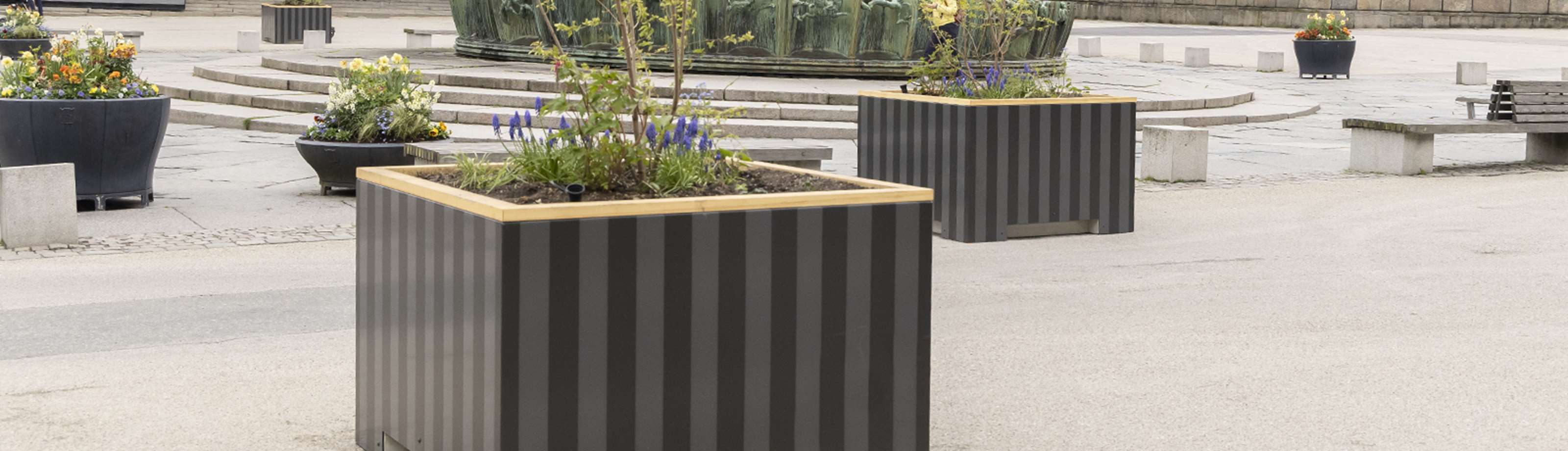 Sicuras trafiksäkra planteringslådor med vårblommor, i stadsmiljö.